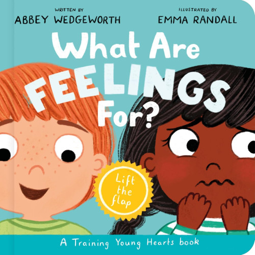 What Are Feelings For? - A Lift-The-Flap Board Book