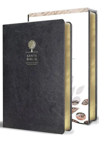 Espagnol, Bible, Reina Valera 1960, gros caractères, similicuir noir