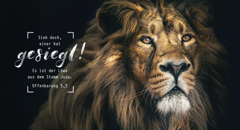 Metallschild Löwe - Offenbarung 5,5