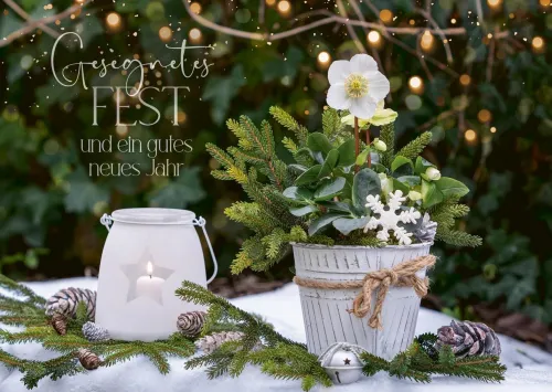 Postkarten Weihnachtszeit - Jesaja 9,5