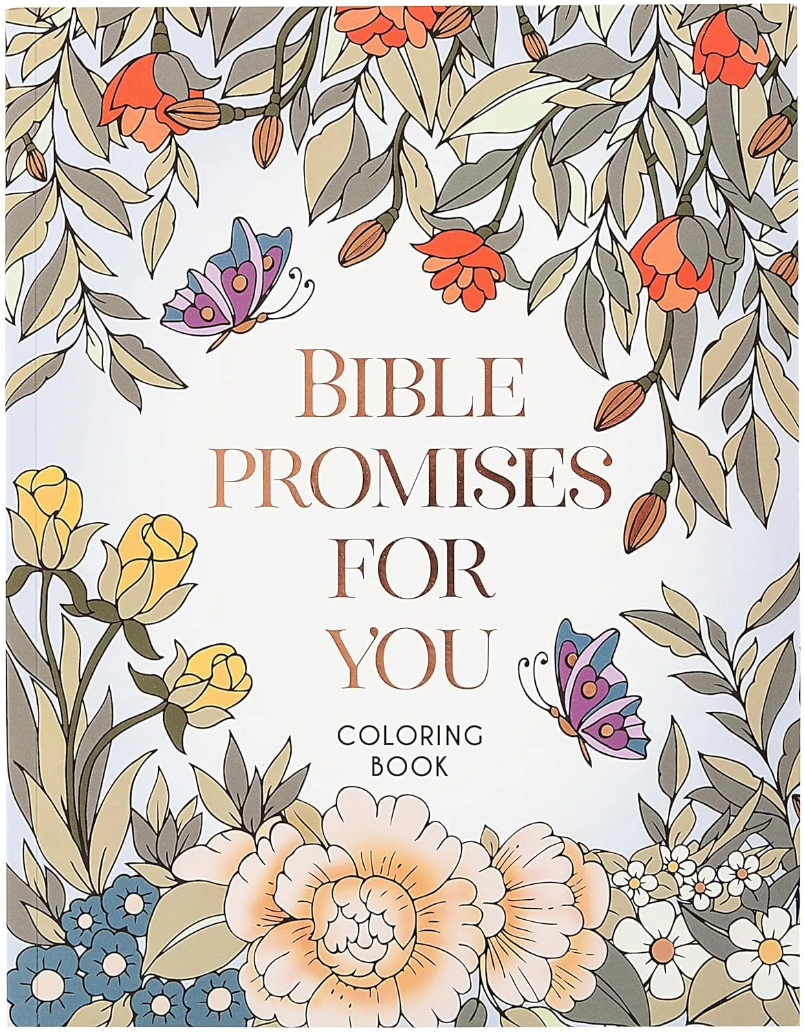 Bible Promises for You - Coloring Book