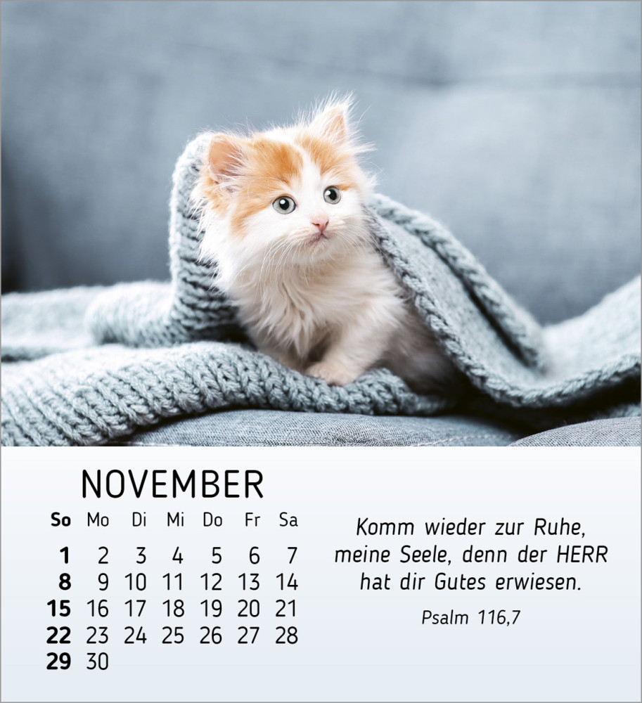 Meine kleinen Freunde - Tischkalender