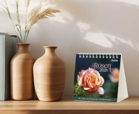 Rosen - Tischkalender