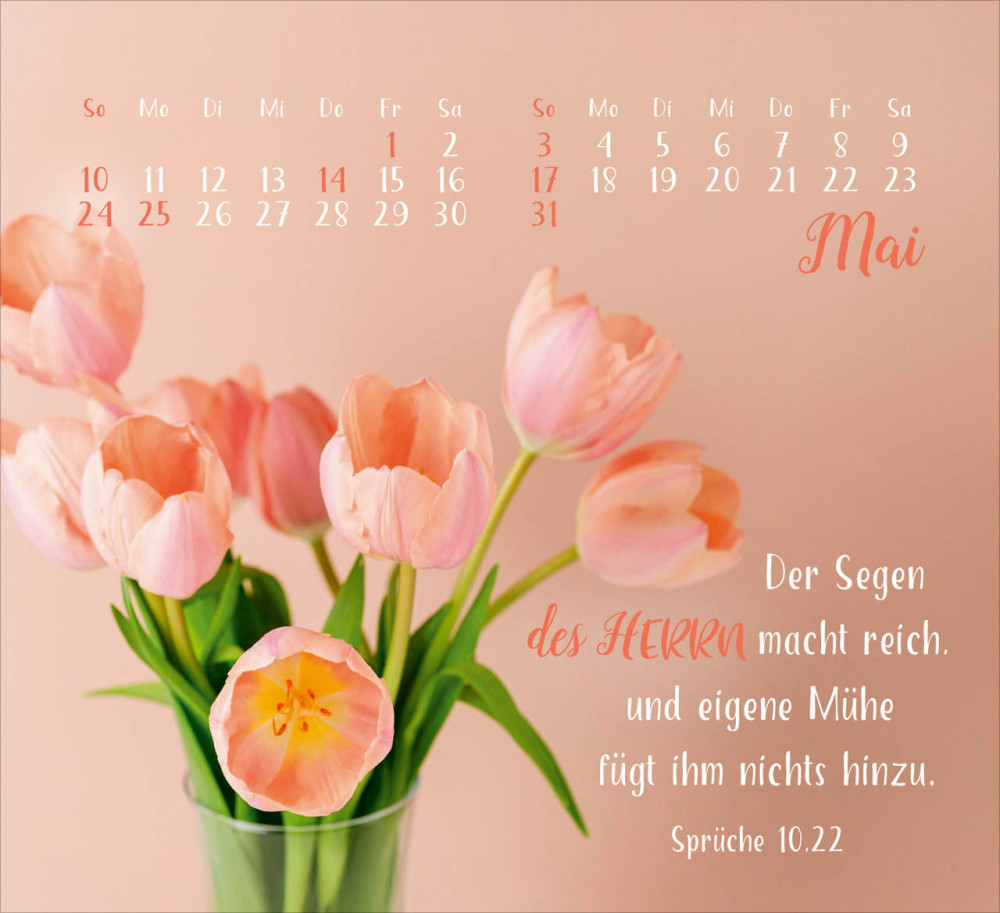 Sei gesegnet! - Tischkalender