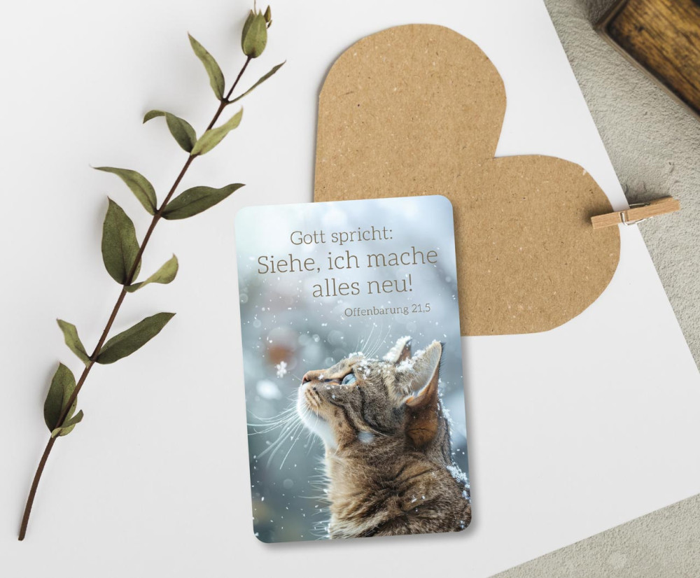 Kalender Kärtchen - Katze (Jahreskalender)