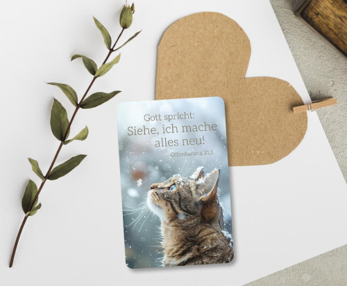 Kalender Kärtchen - Katze (Jahreskalender)