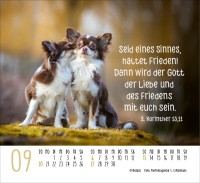 Kalender Hunde - Treue Wegbegleiter - Minikalender