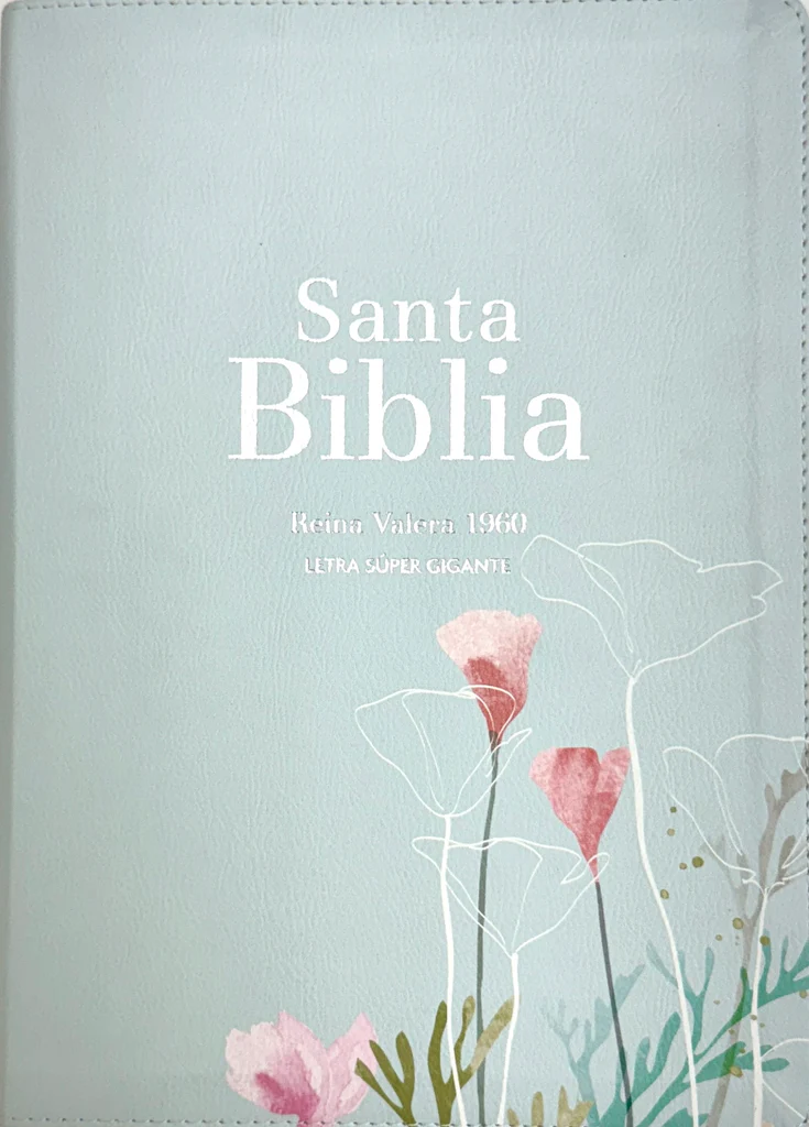 Espagnol, Bible, Reina Valera 1960, gros caractères, moyen format, similicuir menthe fraiche -...