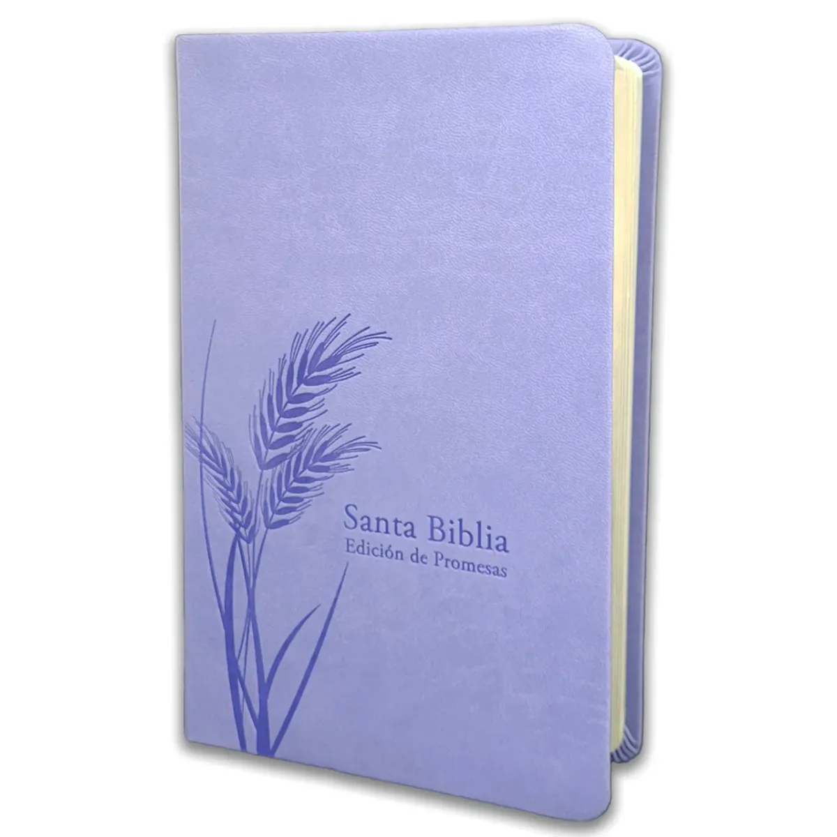 Espagnol, Bible, Reina Valera 1960, gros caractères, moyen format, similicuir lavande motif épis...