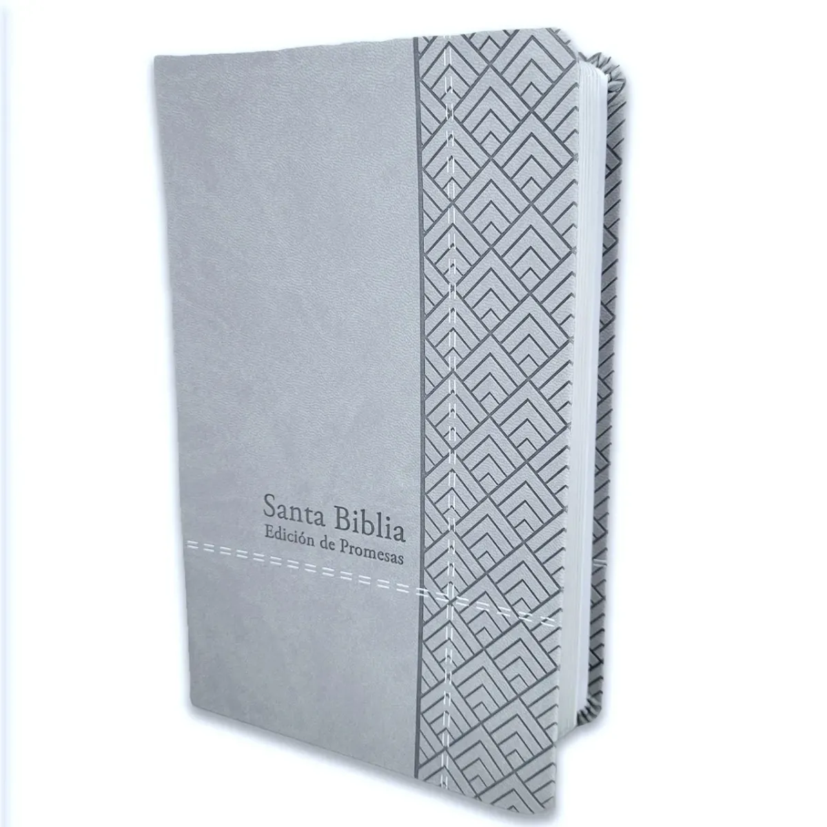 Espagnol, Bible, Reina Valera 1960, gros caractères, moyen format, similicuir gris clair - Biblia...