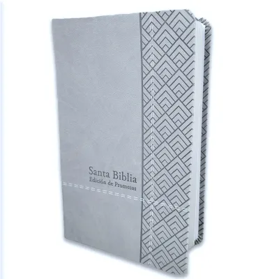 Espagnol, Bible, Reina Valera 1960, gros caractères, moyen format, similicuir gris clair - Biblia...