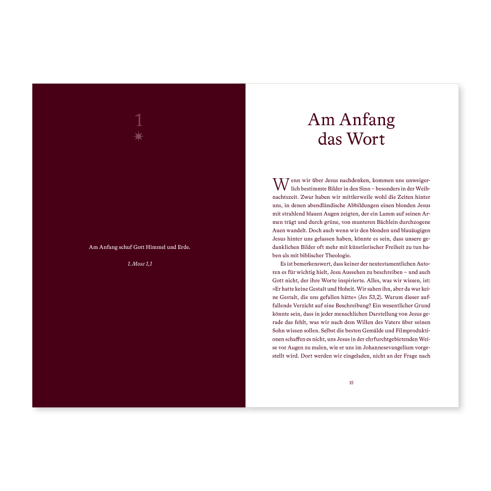 Freue dich Welt, dein König naht - Andachten für die Adventszeit