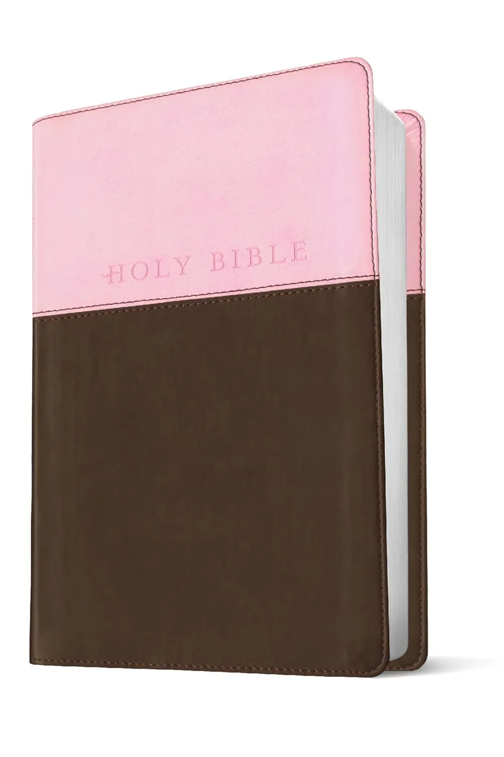 Anglais, Bible, New Living Translation, Filament Edition, similicuir duo rose/brun, paroles de...