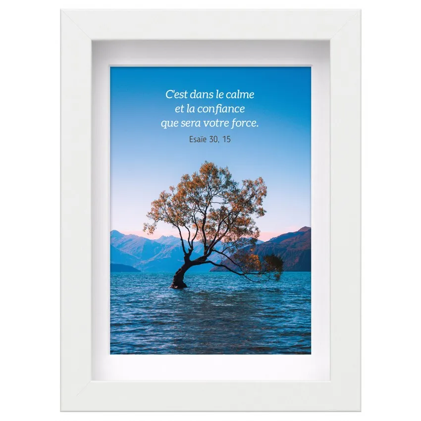 Mon Cadre Inspiration - Arbre au milieu d'un lac
