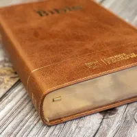 Bible Segond 21 compacte (Premium Style) - couverture souple, cuir brun, avec tranches dorées