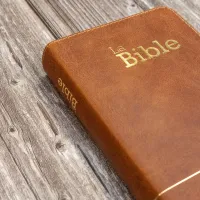 Bible Segond 21 compacte (Premium Style) - couverture souple, cuir brun, avec tranches dorées