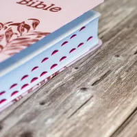 Bible Segond 21 compacte (Premium Style) - couverture souple, toile rose avec paillettes et onglets