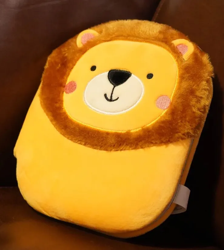 Mon courageux lionceau-Ma Bible câline