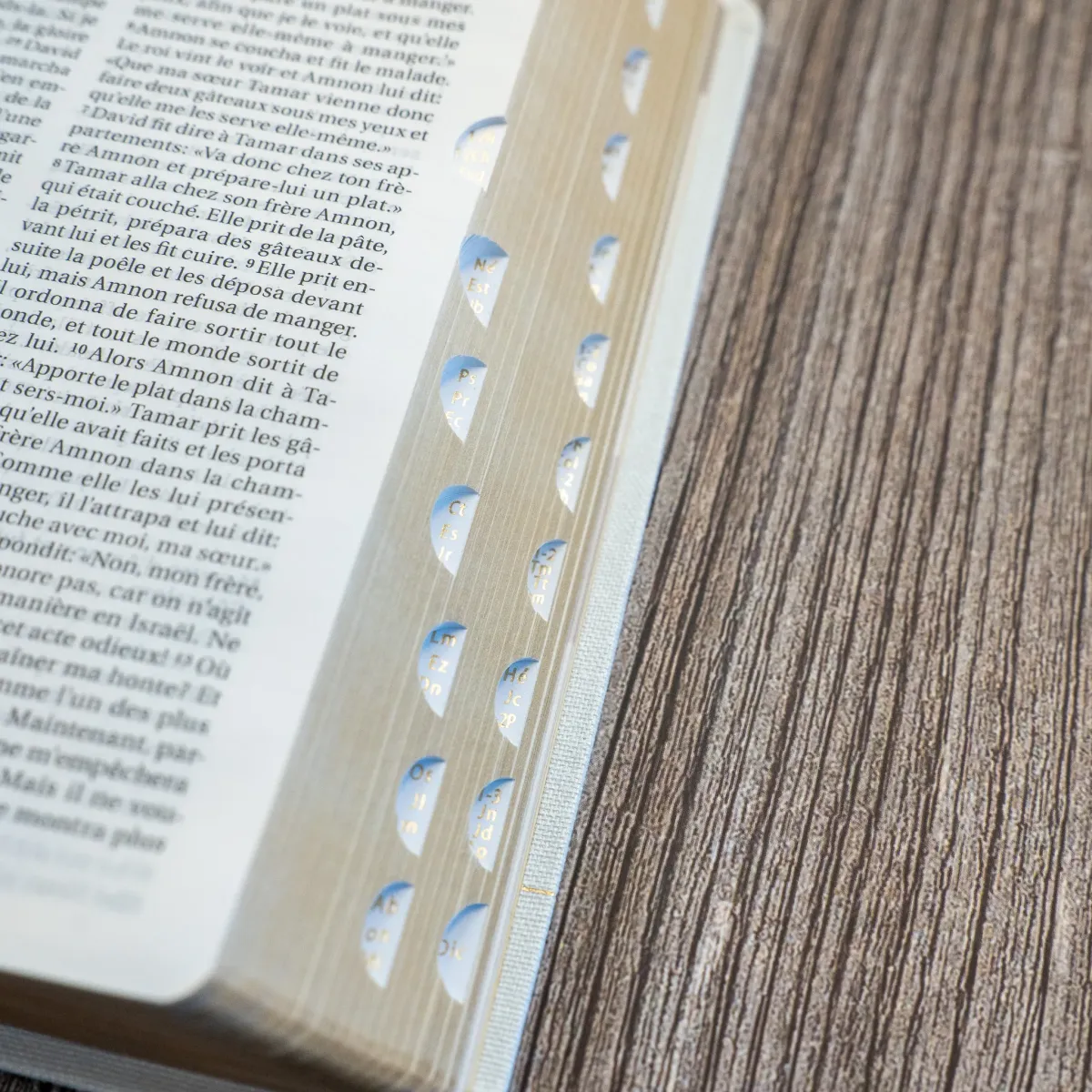 Bible Segond 21 compacte (Premium Style) - couverture souple toile blanche, avec tranches dorées...