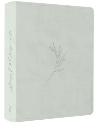 Schlachter Liebezurbibel (Schreibrandbibel Eden) - Flexibler Kunstledereinband - Mint mit...