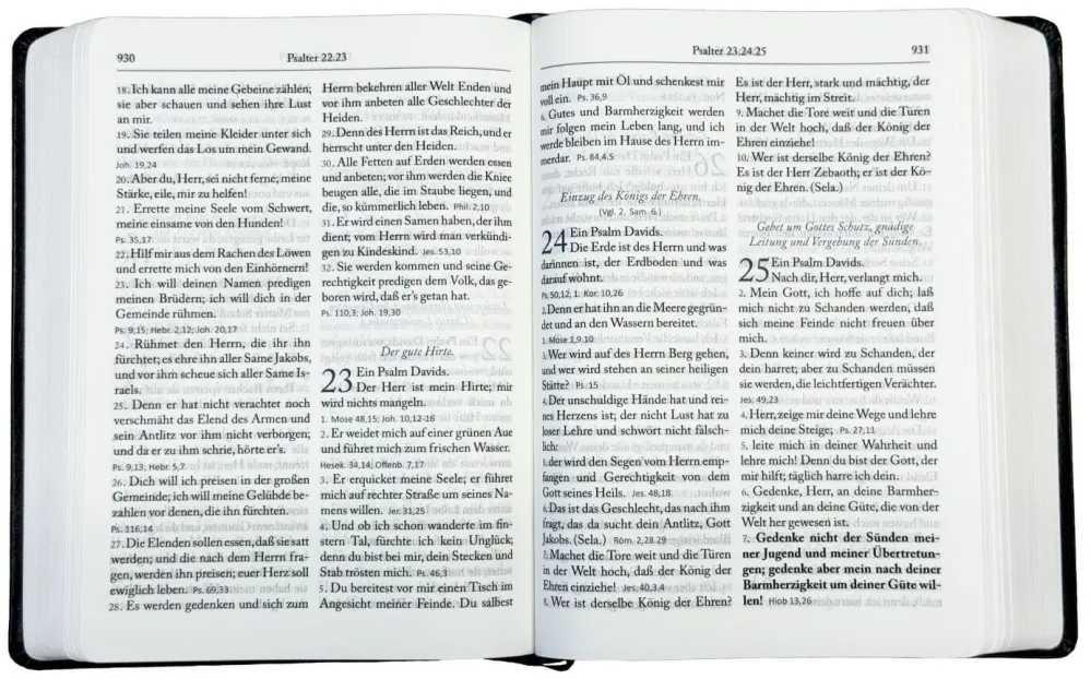 Die Bibel Martin Luther 1912 - Großdruck - Altes und Neues Testament