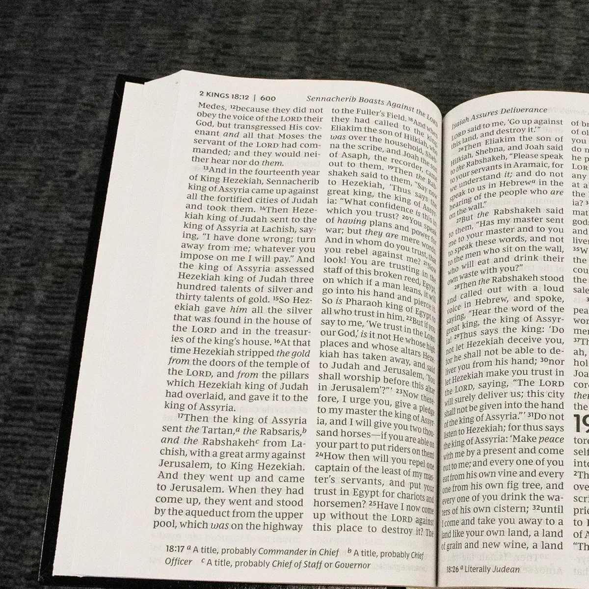 Anglais, Bible, New King James Version, grands caractères, bleue