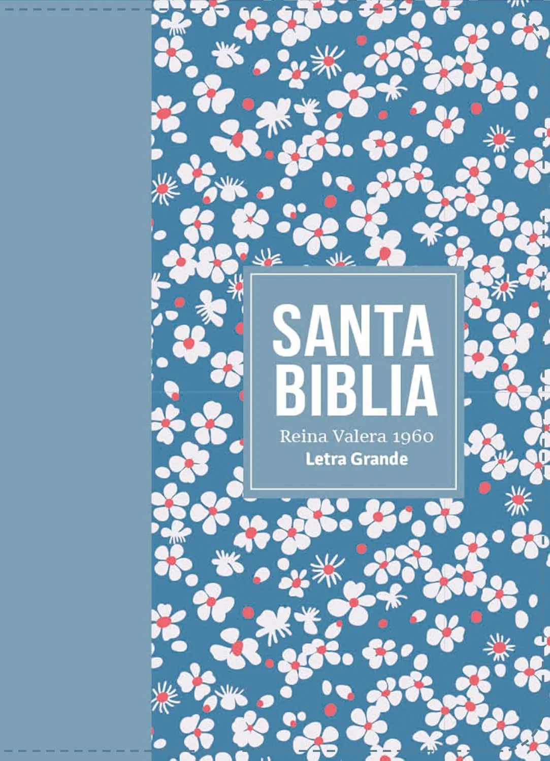 Espagnol, Bible, Reina Valera 1960, compacte, similicuir bleu clair motif fleurs - Biblia Rvr...