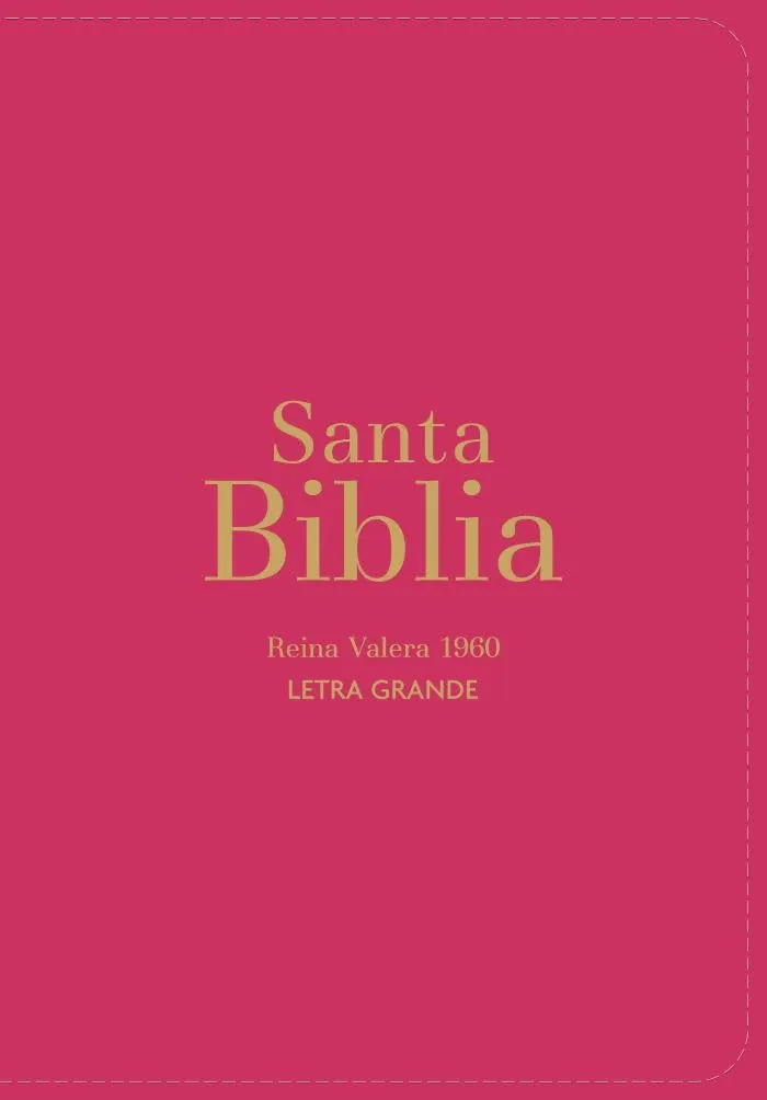 Espagnol, Bible, Reina Valera 1960, compacte, rands caractères, similicuir rose fuschia - Biblia...
