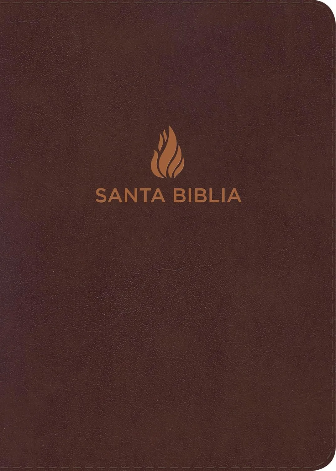 Espagnol, Bible, Reina Valera 1960, compacte, grands caractères, similicuir noir - Biblia Reina...