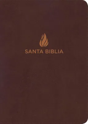 Espagnol, Bible, Reina Valera 1960, compacte, grands caractères, similicuir noir - Biblia Reina...