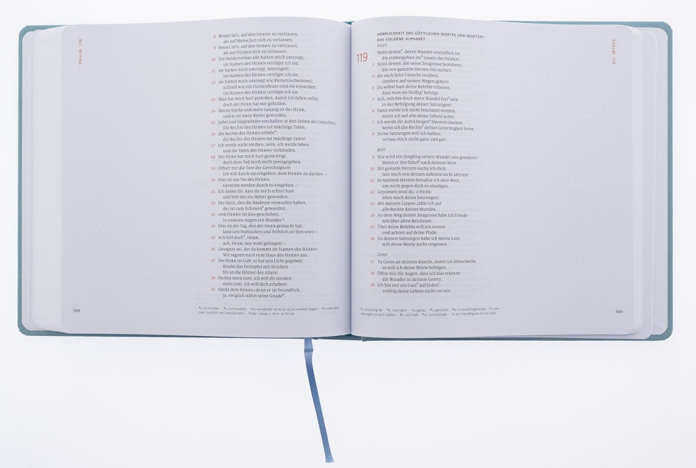 Bibel Menge 2020, Schreibrand - 4 Bände im Schuber (3 AT-Bände und 1 NT-Band) - Journaling Edition