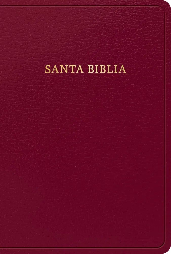 Espagnol, Bible, Reina Valera 1960, moyen format, gros caractères,similicuir bordeaux - Rvr 1960...