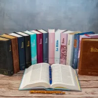 Bible Segond 21 compacte (Premium Style) - couverture souple, cuir brun, avec tranches dorées