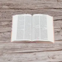 Bible Segond 21 compacte - Couverture rigide rose guimauve