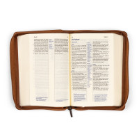 Elberfelder Bibel Taschenausgabe - Kunstleder braun, Reissverschluss