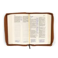 Elberfelder Bibel Taschenausgabe - Kunstleder braun, Reissverschluss