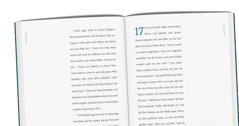 Die gute Botschaft nach Matthäus - EsraBibel - Serie: EsraBibel Logbuch