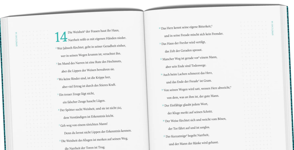 Das Buch der Sprüche - Serie: EsraBibel Logbuch