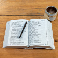 Bible Segond 21, gros caractères - couverture souple en toile blanche, tranche argentée