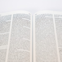 Bible Segond 21 compacte (Premium Style) - couverture souple, cuir anthracite, avec tranches dorées