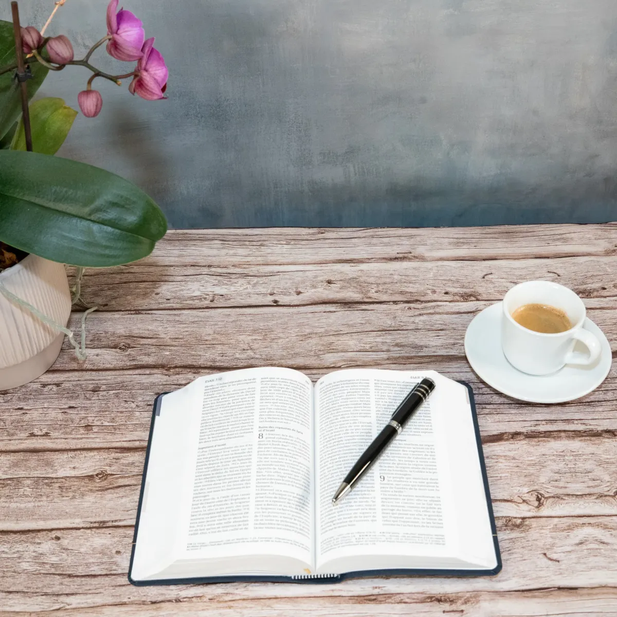 Bible Segond 21 compacte (Premium Style) - couverture souple toile bleu marine-anthracite