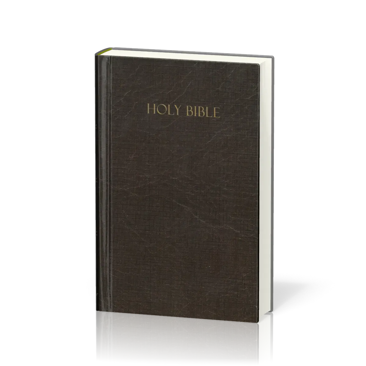 Anglais, Bible Amplified, compact, rigide, brune avec jaquette illustrée