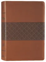 Anglais, Bible d'étude Christian Standard Bible, brune