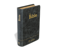 Bible Segond 21 compacte (Premium Style) - couverture souple, cuir anthracite, avec tranches dorées
