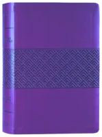 Anglais, Bible d'étude Christian Standard Bible, bordeaux