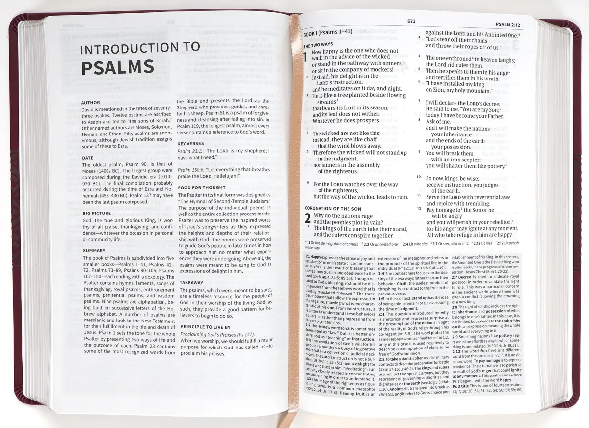 Anglais, Bible d'étude Christian Standard Bible, violet