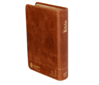 Bible Segond 21 compacte (Premium Style) - couverture souple, cuir brun, avec tranches dorées