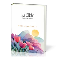 Bible Semeur 2015, gros caractères, blanche illustrée, semi-souple textile, tranche blanche