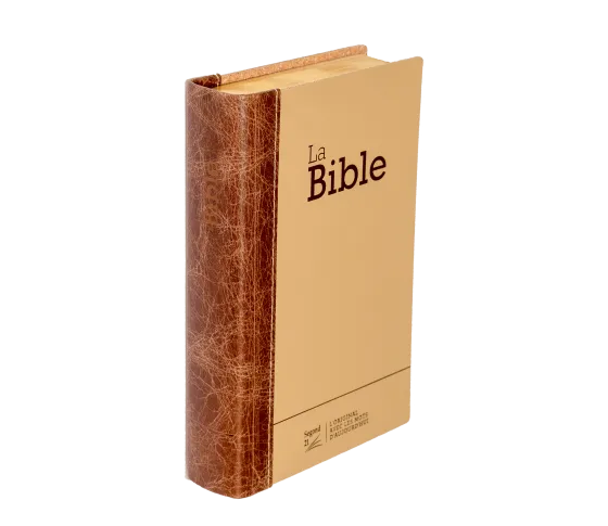 Bible Segond 21 compacte (Premium Style) - couverture semi-rigide duo cuir praliné-chocolat, avec...