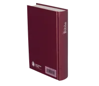 Bible Segond 21 compacte - couverture rigide motif prune